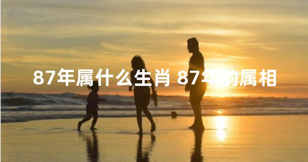 87年属什么生肖 87年的属相